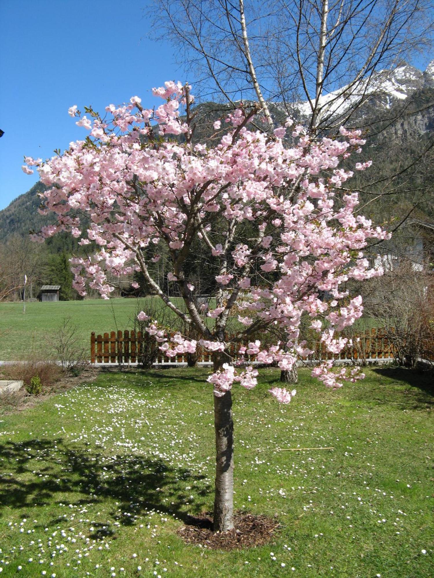 Ferienwohnungen Schlichtherle Bach  Bagian luar foto